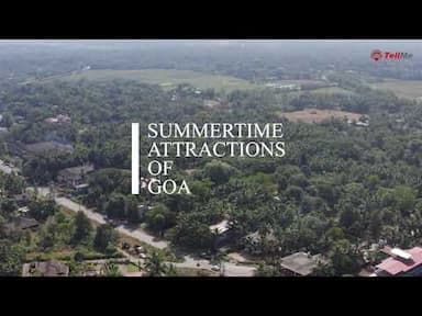 Goa's Summer Delights- allure of Goa's beaches, culture, and nature with Tellme_360.