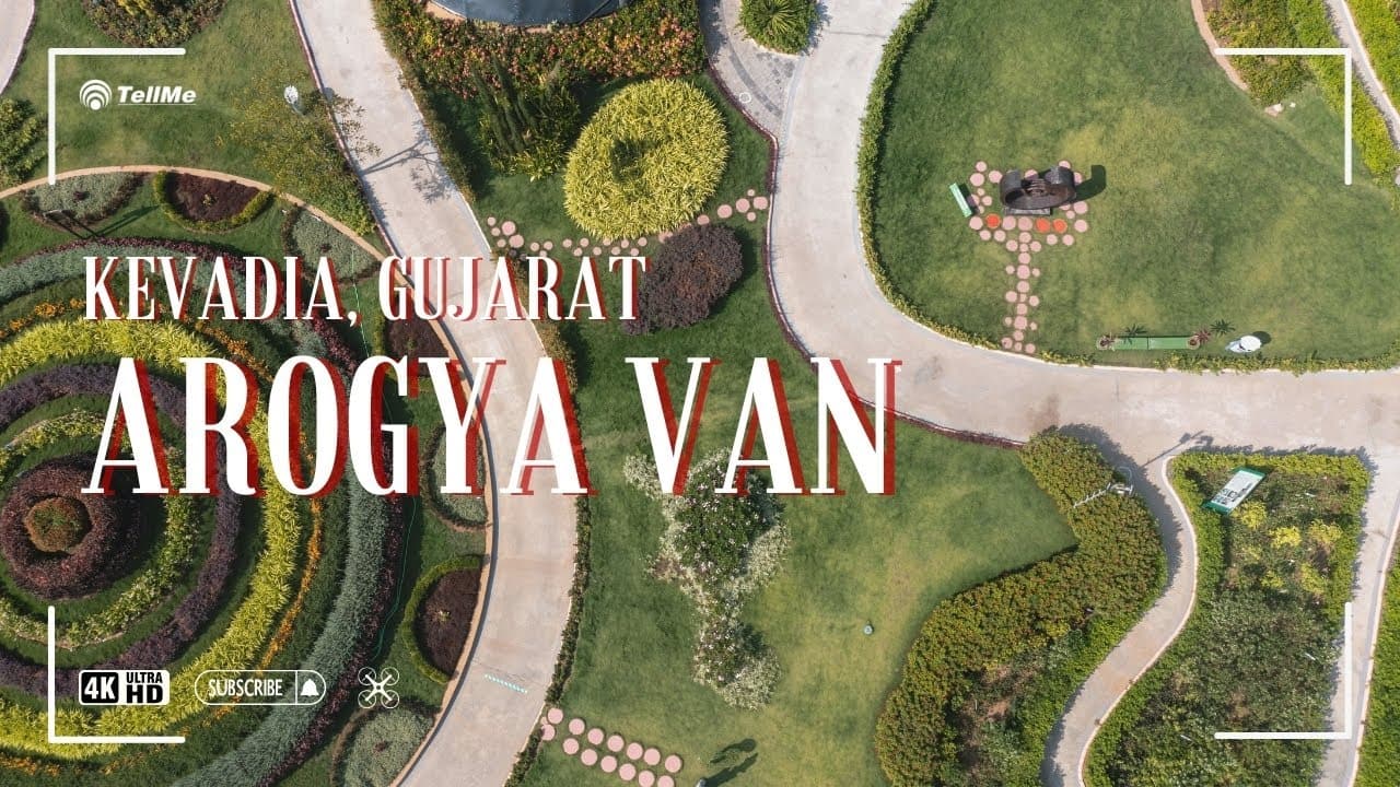 Exploring Arogya Van: A Wellness Retreat in Kevadia I Gujarat