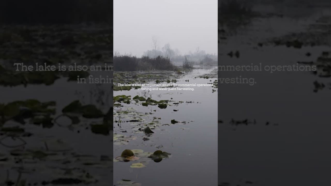 Exploring the Winter Beauty of Dal Lake, Srinagar