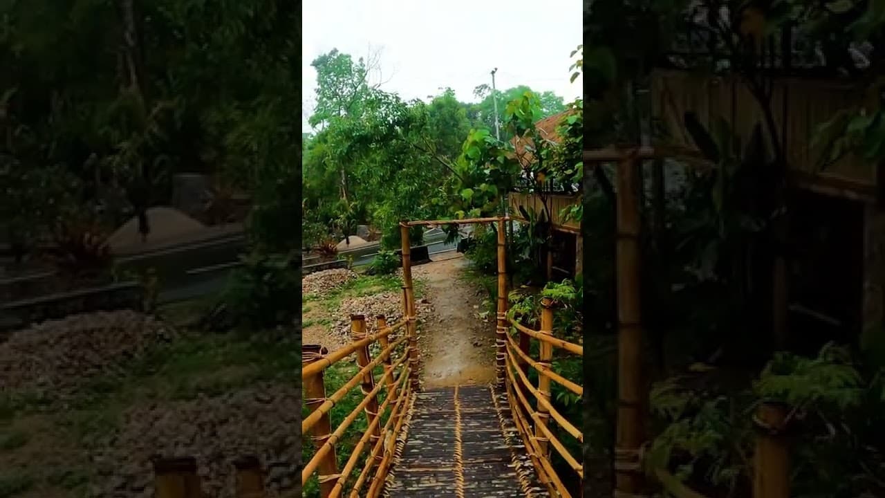 Meghalaya Bamboo Bridge : The gateway to heaven
