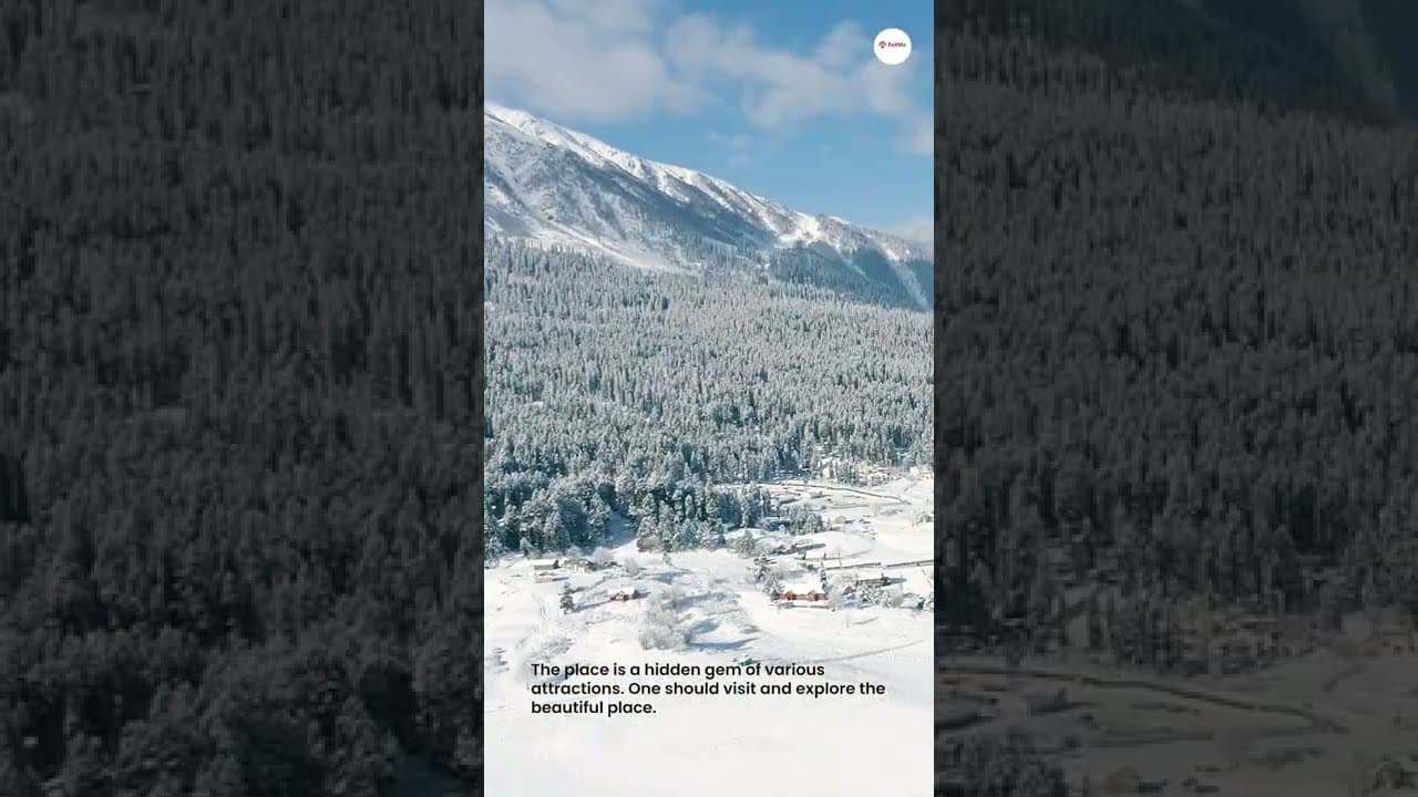 Changing seasons of Gulmarg : the Meadow of flowers
