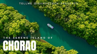 [8K 360° VR] Chorao Island- A Wildlife Sanctuary in Goa Virtual Reality Nature Tour.