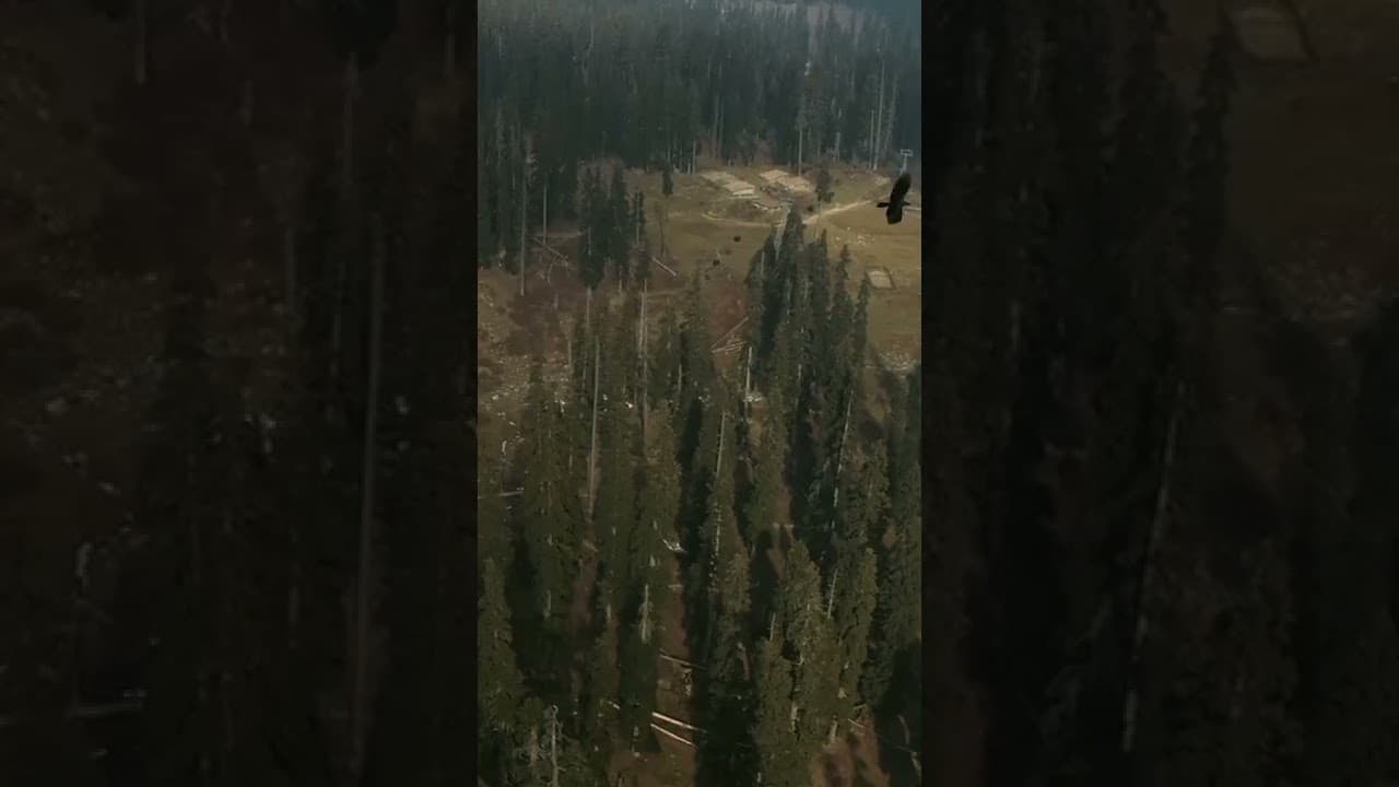 Exploring Gulmarg: Kashmir's Green Paradise | Lush Pine & Fir Forests | Kashmir Series Ep. 14