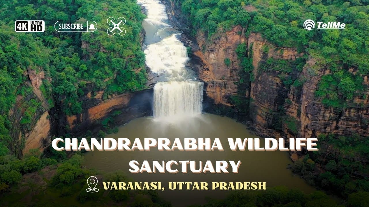 Exploring the lesser known chandraprabha wildlife sanctuary I Varanasi.