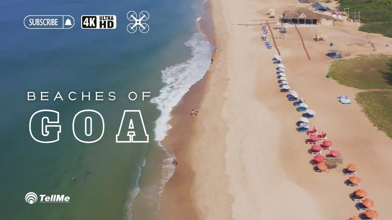 Check out the top 5 beaches in Goa