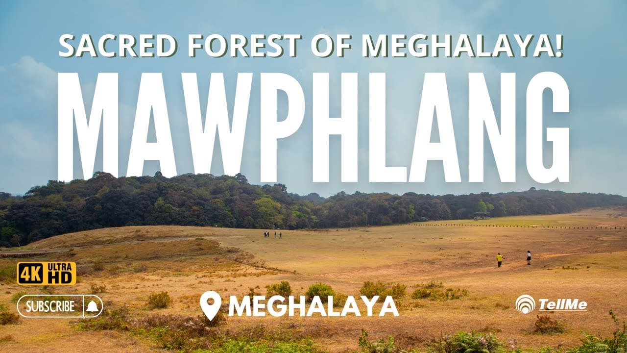 Exploring Mawphlang Sacred Forest | Meghalaya Tourism | Nature's Symphony