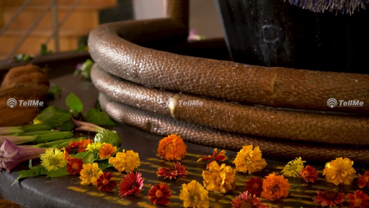 Amareshwar Mahadev Temple, Amarkantak: A Divine Journey to Lord Shiva's Abode