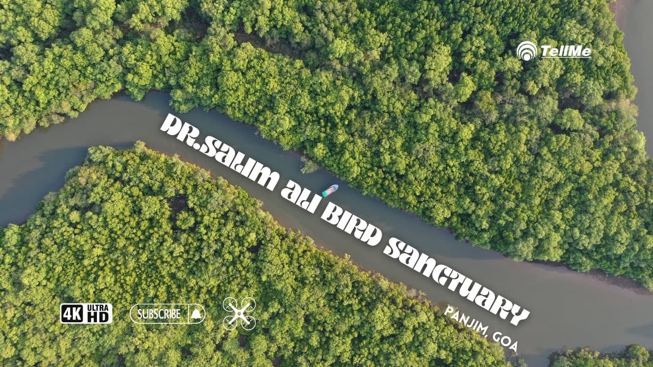 Discovering the serene haven for bird enthusiasts I Panjim I Goa.