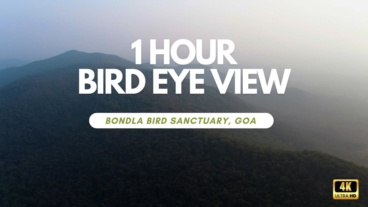 "Explore Bondla Bird Sanctuary in Goa with stunning 1-hour drone footage in 4K UHD."