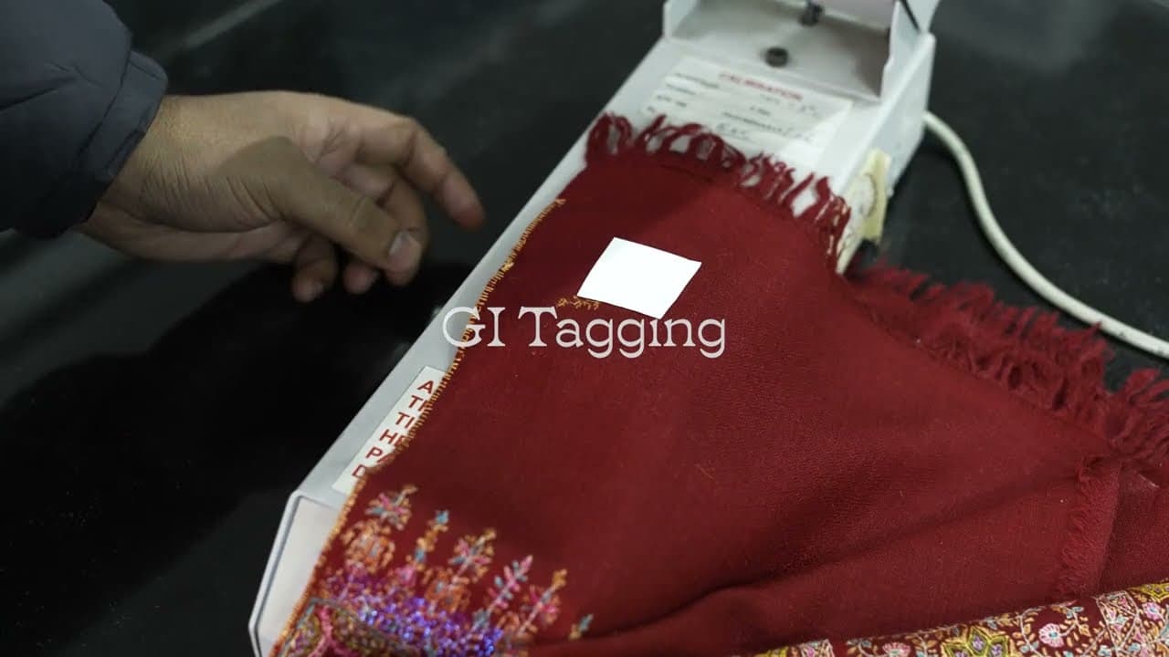 Explore the Elegance of GI Pashmina Shawls from Kashmir | Discover Heritage Crafts | Ep. 31