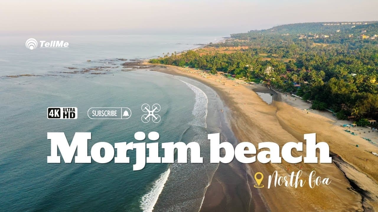 Exploring Goa's beautiful Morjim beach I Goa