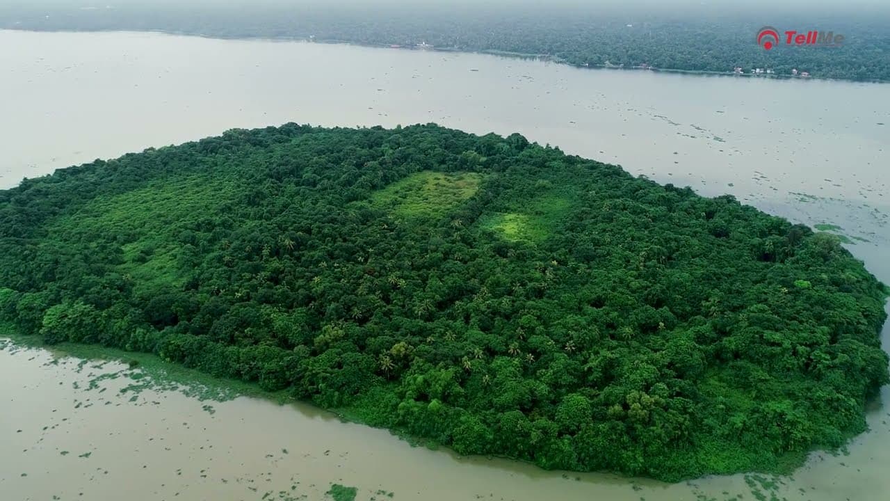 Unveil the Serenity of Pathiramanal Island, Kerala | Discover the Tranquil Backwaters