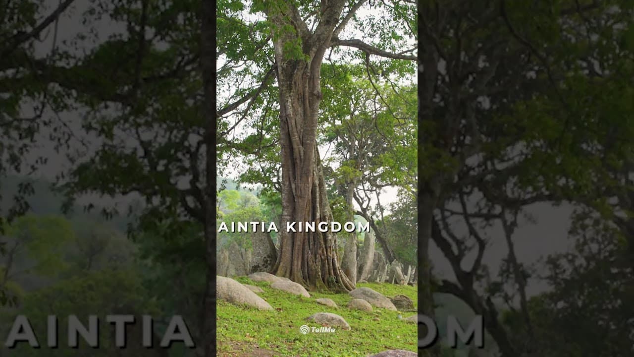 Unveiling the Mysteries: The Monoliths of Nartiang in Meghalaya | A Cultural Journey