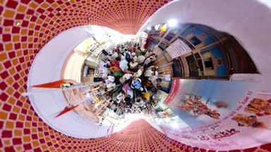 360° View of Pandharpur Wari: A Journey of Faith with Thousands of Devotees