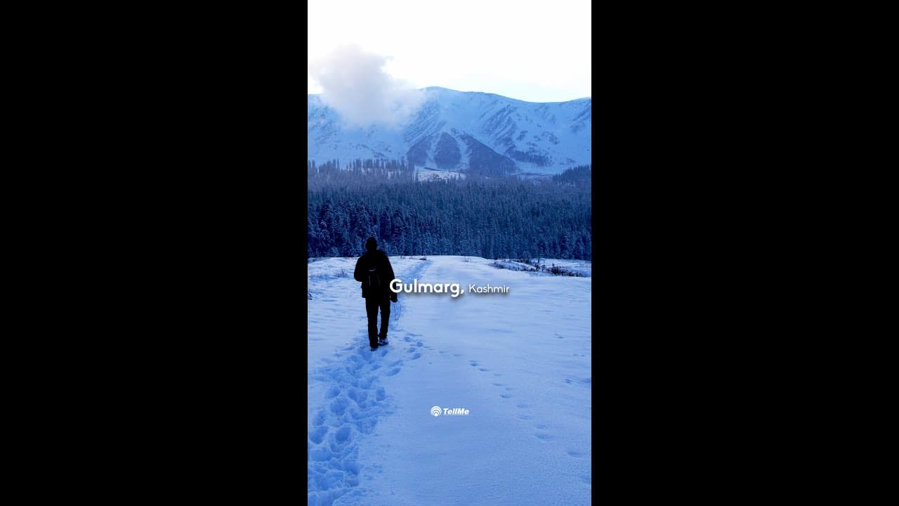 Winter Wonderland: Heavenly Snowfall in Gulmarg, Kashmir