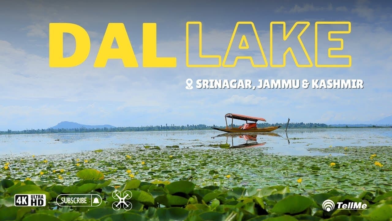 Discover the heaven on earth, Check out Dal lake in Srinagar I Jammu & Kashmir