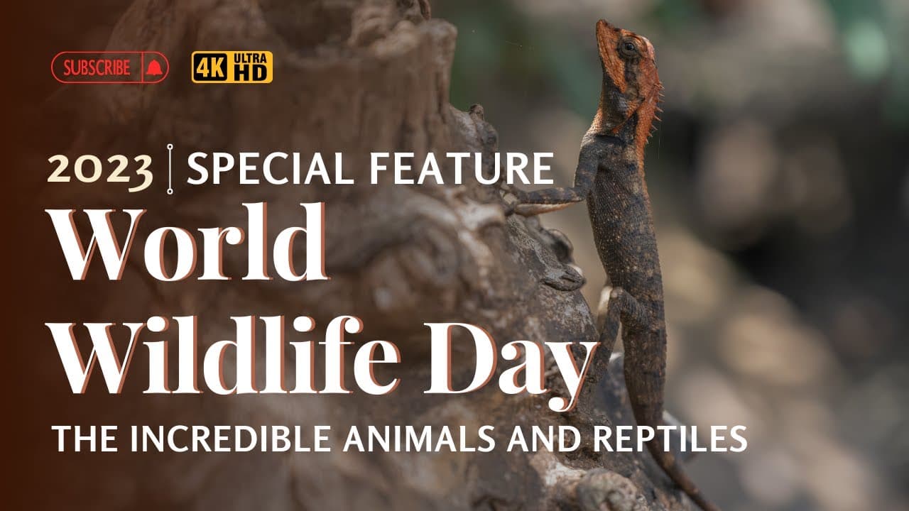 I Spent 30 Days Exploring Wildlife Habitats Here's What I Learned
