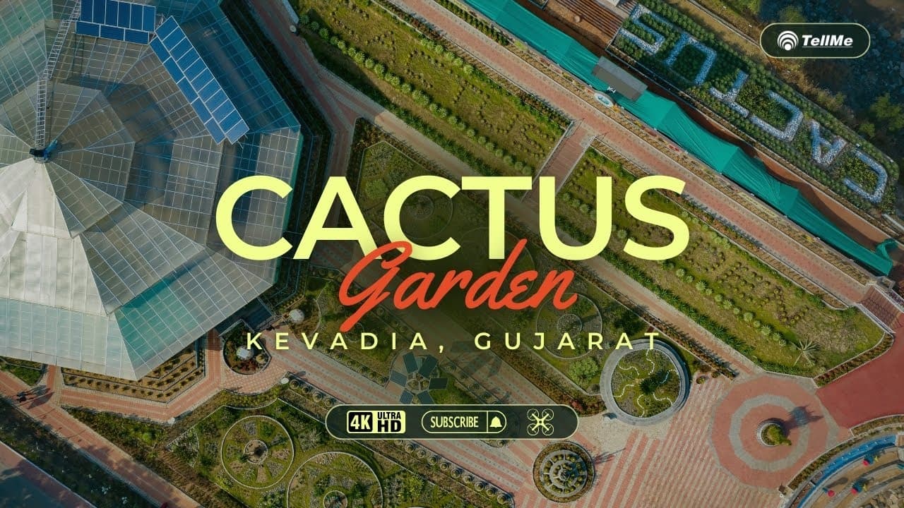 Explore the enchanting Cactus Garden in Kevadia I Gujarat