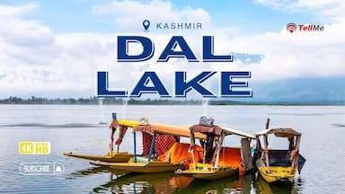 Dal Lake Srinagar: Exploring Winter Beauty in Kashmir | Kashmir Series Ep. 4