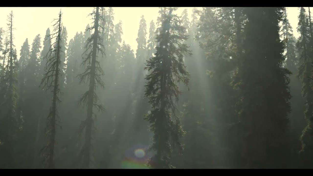 Gulmarg, Kashmir | Lush Greenery & Fir Trees | Unmissable Adventures | Kashmir Series Ep. 14